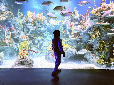 Bristol Aquarium