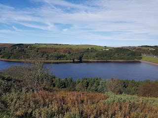 Scammonden kennels and cattery