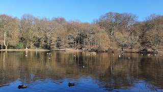 Queensmere Pond, Wimbledon Common