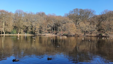 Queensmere Pond, Wimbledon Common