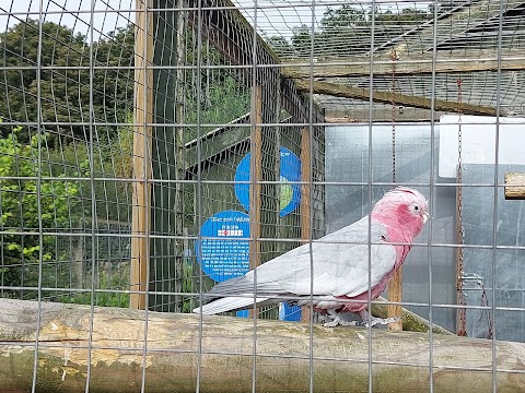 Northumberland College Zoo