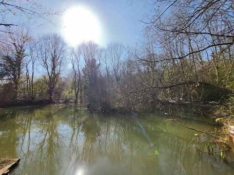 Howardian Local Nature Reserve