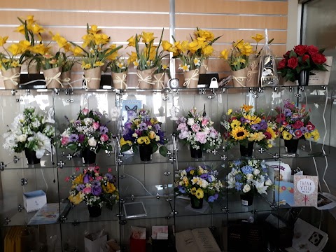 Claires Flowers for All Occasions