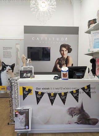 Cats Protection - Edinburgh Charity Shop