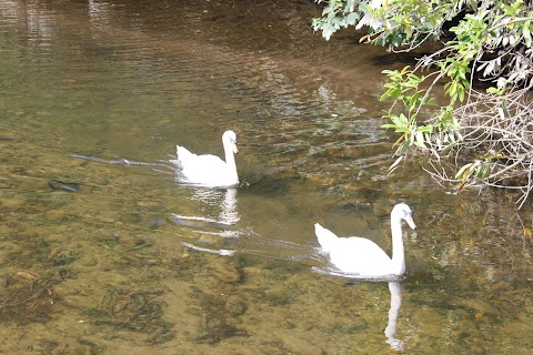 Notter Bridge Holiday Park