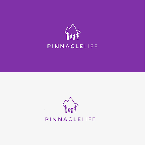 Pinnacle Protect Ltd