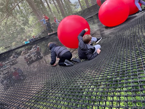 Go Ape Moors Valley