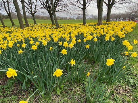 Dovecot Public Park