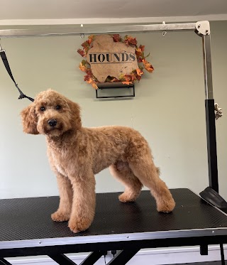 HOUNDS Dog Grooming