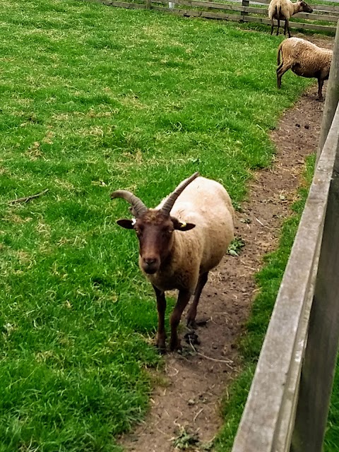 Gorse Hill Farm Picnic Play Area