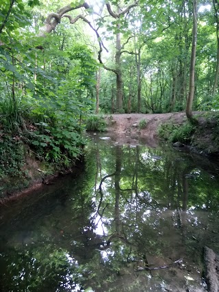 Nightingale Valley