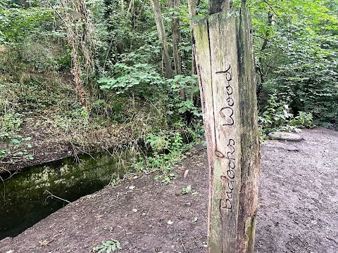 Badock's Wood