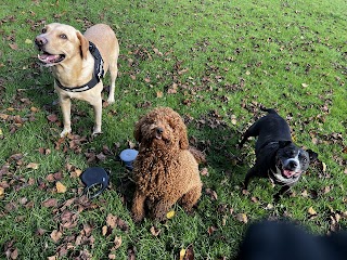 Treats and Trails (Stockport,Cheshire)