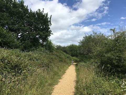 Testwood Lakes Nature Reserve