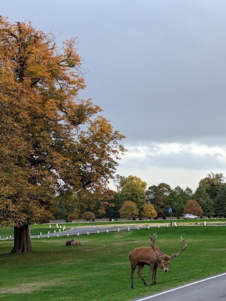 Bushy Park