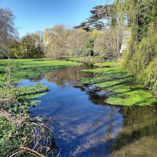 Ravensbury Park