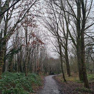 Lagan Meadows