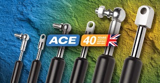 Ace Controls International