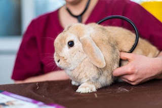 Fairview Veterinary Hospital