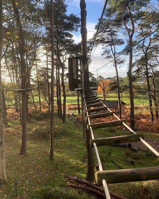 Go Ape Margam