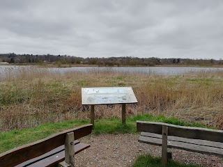 Thorpe Marshes