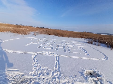 Відпочинок у соснах