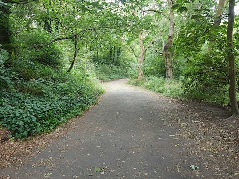 Boggart Hole Clough