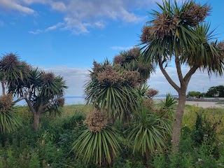 Sandymount Beach