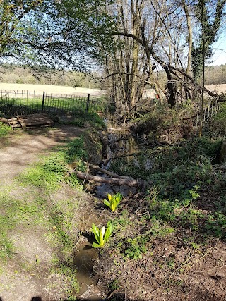 Water Garden