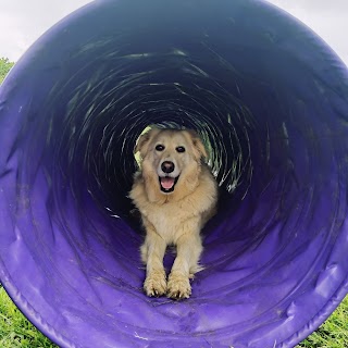 Poochies Daycare & boarding