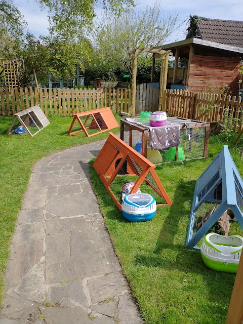 Marchwood Guinea Pig Boarding