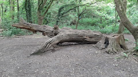 Rivacre Valley Country Park