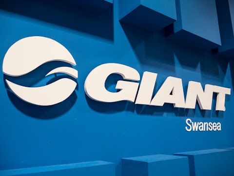 Giant Store Swansea