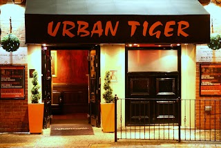 Urban Tiger