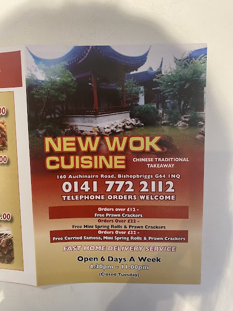 The New Wok Cuisine