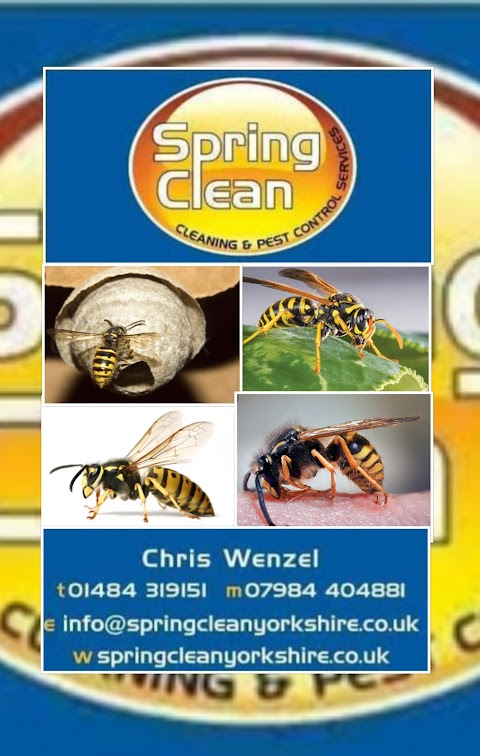 Springclean cleaning and pest control service