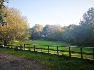 Queen Charlotte's Wood