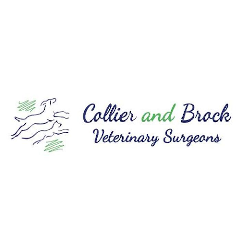 Collier and Brock Vets, Irvine