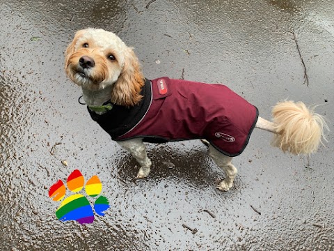 Rainbow Paws - Dog Walking & Pet Services