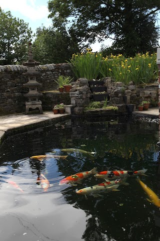 Fiveacre Koi Supplies Ltd