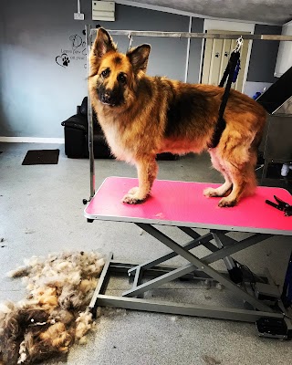 Lush Pups Dog Grooming