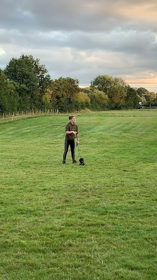 Bridge Paddocks Walkies