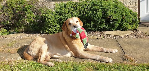 Garden Veterinary Group, Chippenham