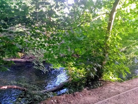 Quarry Bank