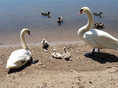 Kingsbury Water Park