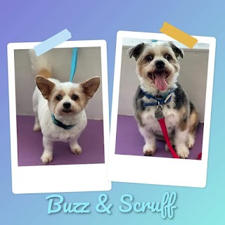 Scruffalicious Dog Groomers