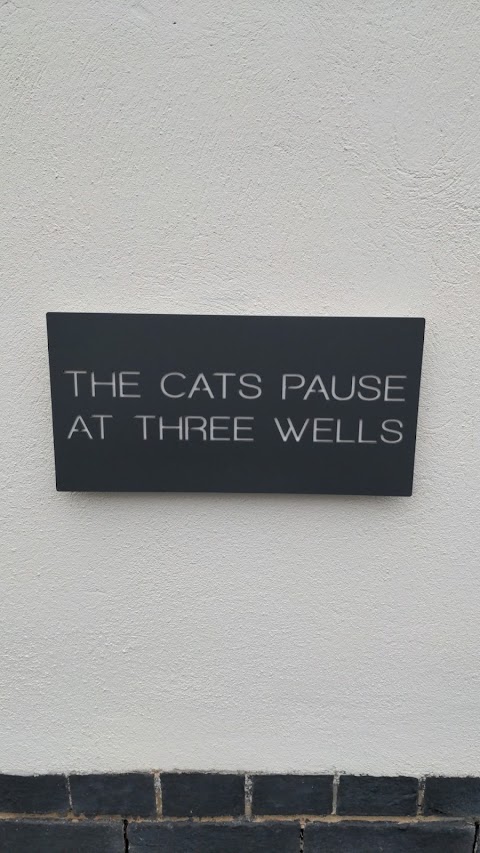 The Cats Pause