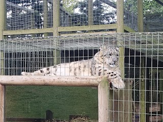 Thrigby Hall Wildlife Gardens