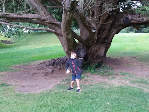 Park Academy Nature Kindergarten