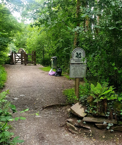 National Trust - Plymbridge Woods